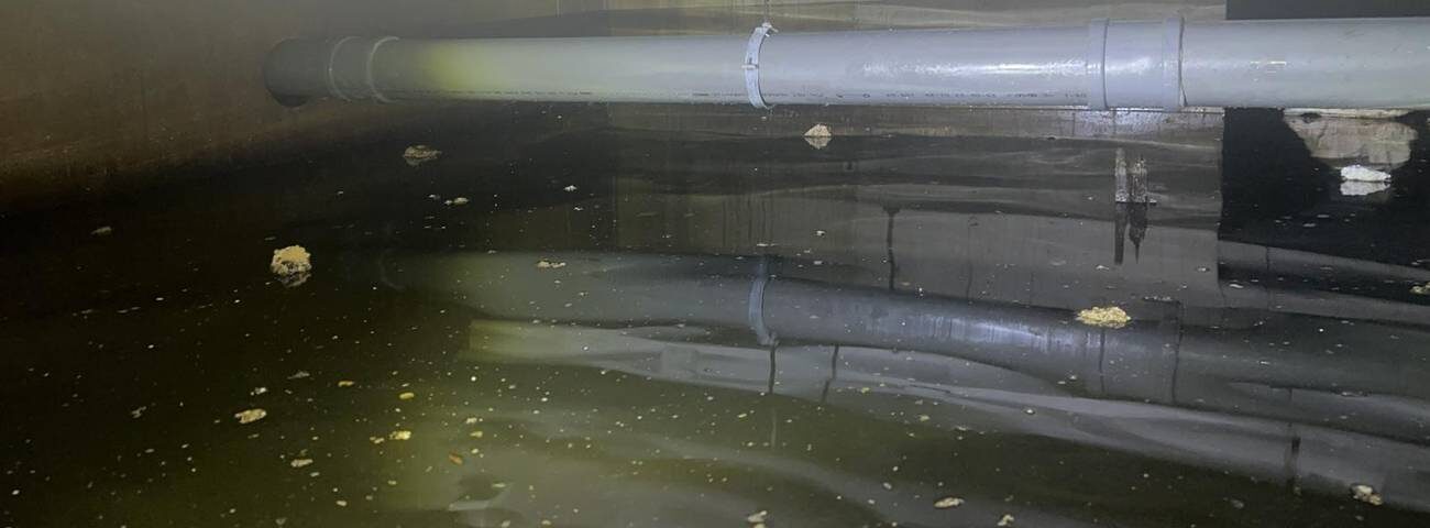 Je merkt ineens dat het water in je gootsteen niet goed wegloopt en vermoedt problemen bij de erfgrens. Precieze vastlegging is dan essentieel. Dit begint&hellip;