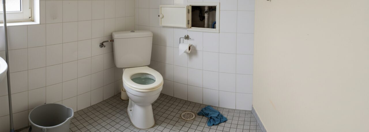 Direct hulp bij verstopte wc Staat je wc verstopt en heb je direct hulp nodig? Niets zo vervelend als een toilet dat niet meer doorspoelt, overloopt of nare geurtjes veroorzaakt.…
